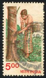 INDIA - CIRCA 1976: timbro stampato da India, mostra donna con un cestino, tronco, circa 1976 Archivio Fotografico - 16223742